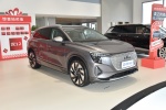 奥迪Q5 e-tron