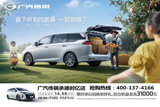 M6 MAX 限时综合补贴至高3.1万元 